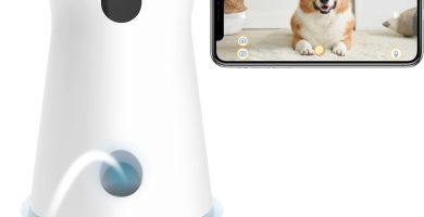Furbo 360