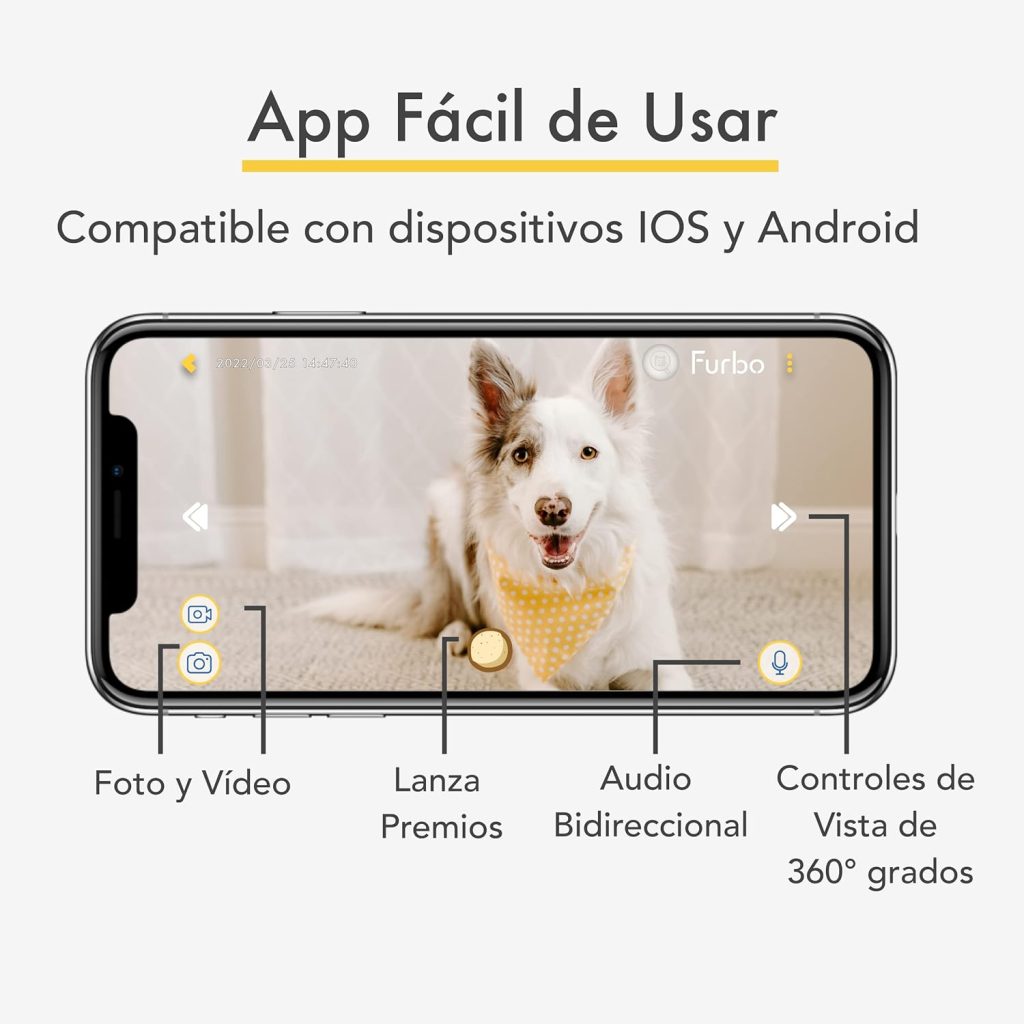 vigilancia perros